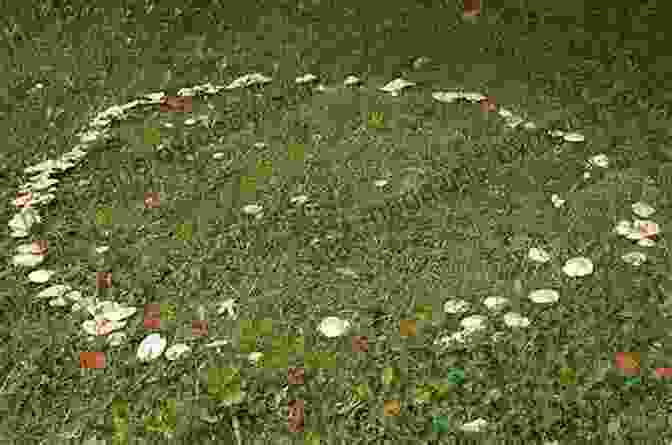 A Circle Of Lush Vegetation, Believed To Be A Portal To The Realm Of Fairies. The Legend Of The Cape May Diamond (Myths Legends Fairy And Folktales)