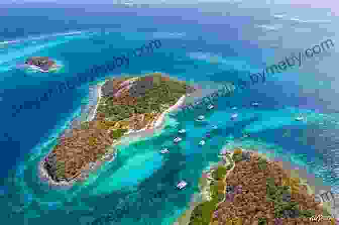 A Diver Explores The Horseshoe Reef In Tobago Cays Marine Park, Grenadines Best Dives Of The Caribbean