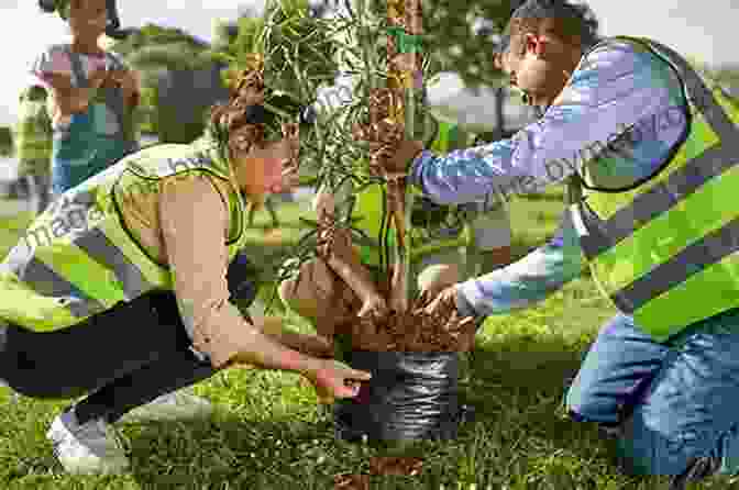 A Group Of Tree Planters Working Together In A Vast Forest Eating Dirt: Deep Forests Big Timber And Life With The Tree Planting Tribe