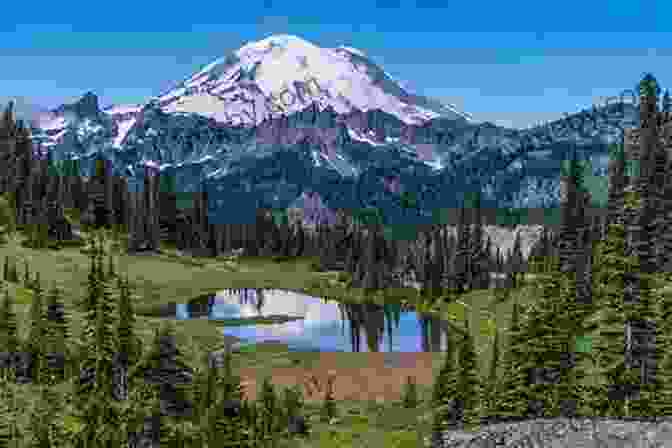 A Majestic View Of Mt. Rainier, Its Snow Capped Peak Towering Over Lush Meadows On The Fly Guide To The Northwest: Oregon And Washington (Flyfisher S Guide Series)