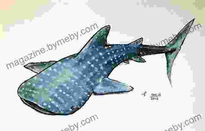 A Majestic Watercolor Sketch Of A Whale Shark Gliding Through The Ocean Depths. Always Song In The Water: An Oceanic Sketchbook