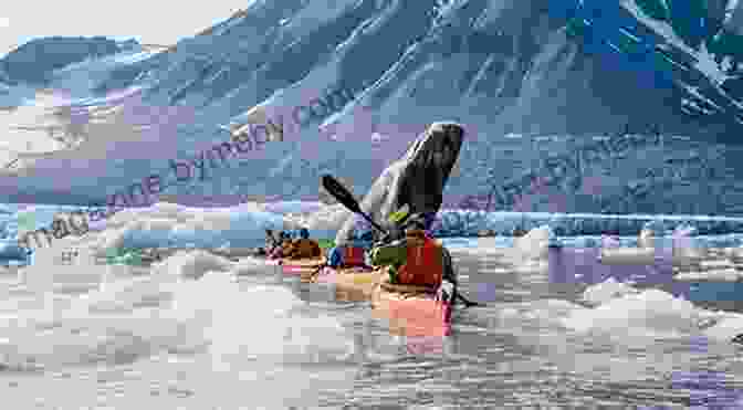 A Person Kayaking Among The Icebergs Of Antarctica My Favorite Places: : Antarctica Kimiko Kitani