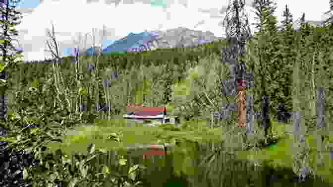 Abandoned Cabins And Forgotten Dreams In The Canadian Rockies Ghost Town Stories Of Alberta: Abandoned Dreams In The Shadows Of The Canadian Rockies (Amazing Stories)