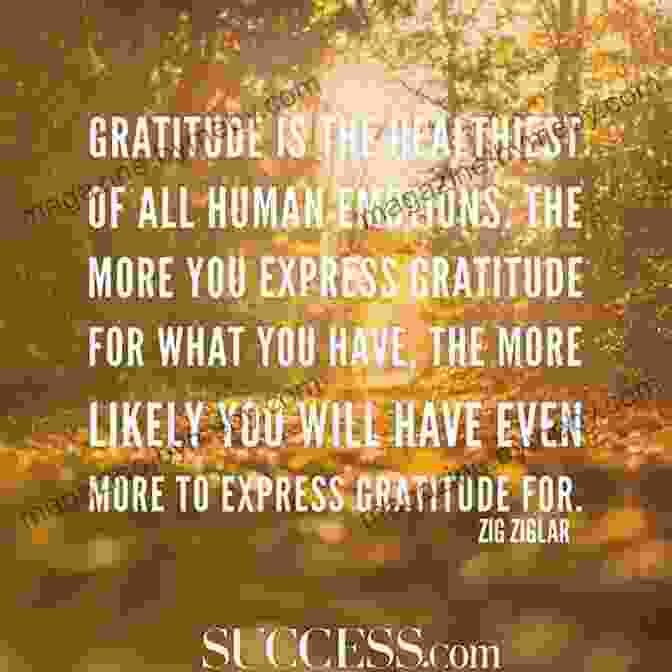 Be Grateful For What You Have – Practice Gratitude Live It Great: 12 Real Life Lessons To Help You Create Your Own Happy And Meaningful Life As A Migrant