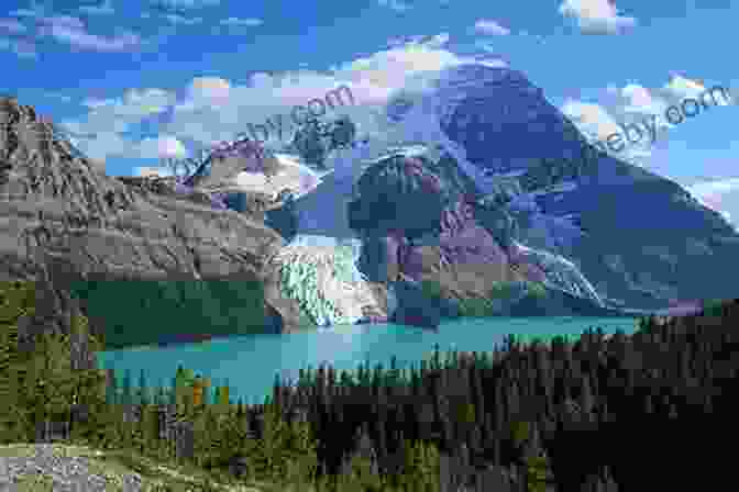 Birders Photographing A Golden Eagle In Mount Robson Provincial Park Best Places To Bird In British Columbia