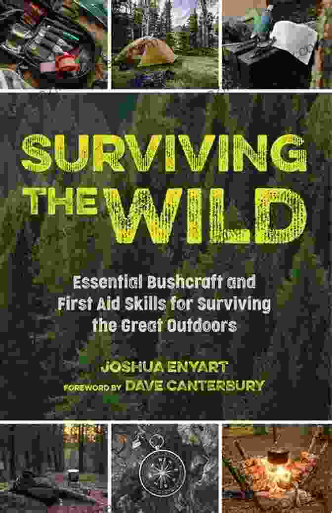 Book Cover Of Essential Bushcraft And First Aid Skills For Surviving The Great Outdoors Surviving The Wild: Essential Bushcraft And First Aid Skills For Surviving The Great Outdoors (Wilderness Survival)