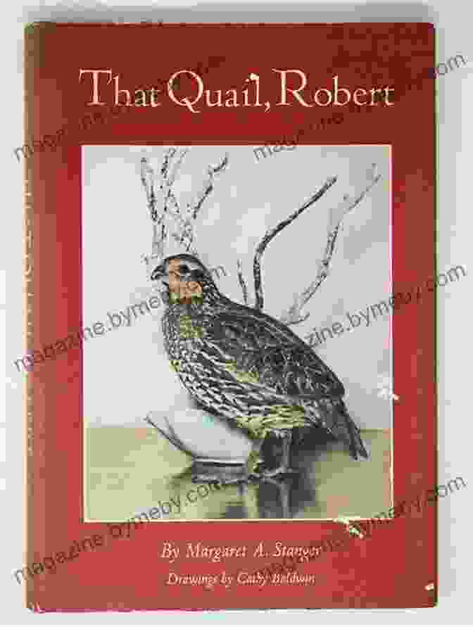 Book Cover Of 'That Quail, Robert' By Jonathan Ross That Quail Robert Jonathan Ross