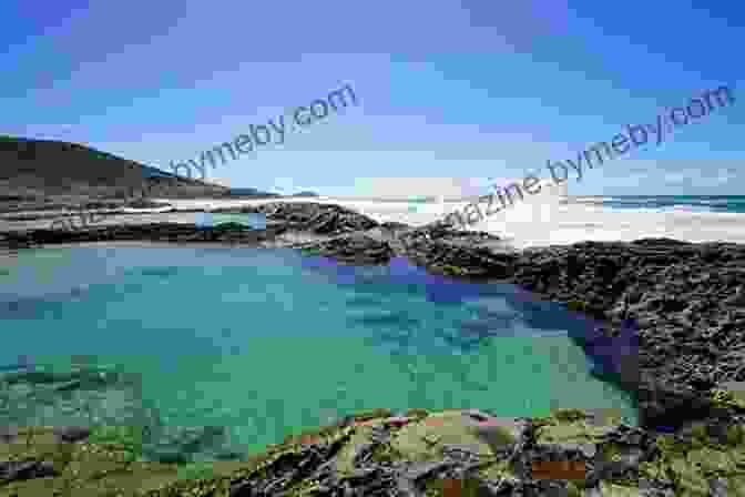 Champagne Pools, Fraser Island My Favorite Places In Australia: Fraser Island