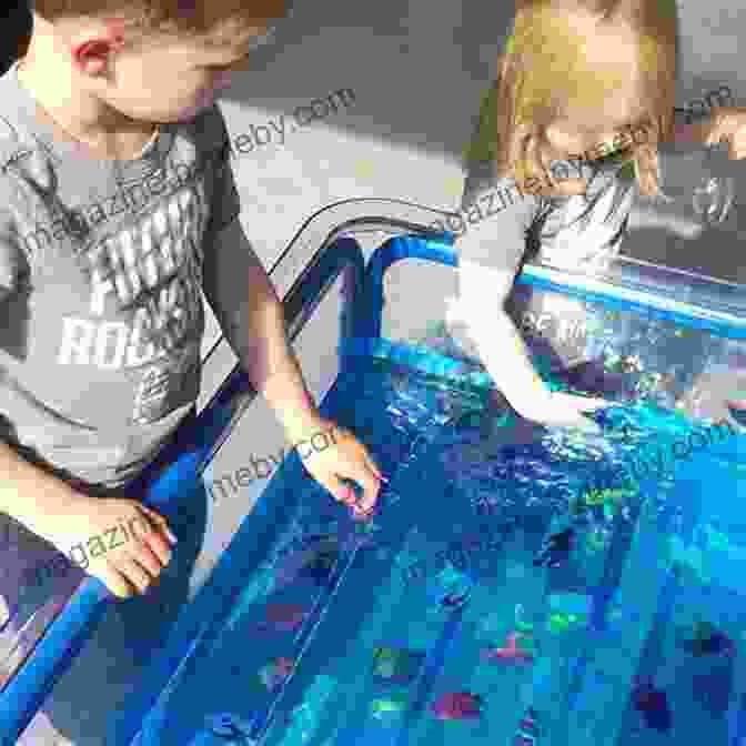 Children Participating In Ocean Exploration Activities Environmental Adventures: Red Explores The Ocean