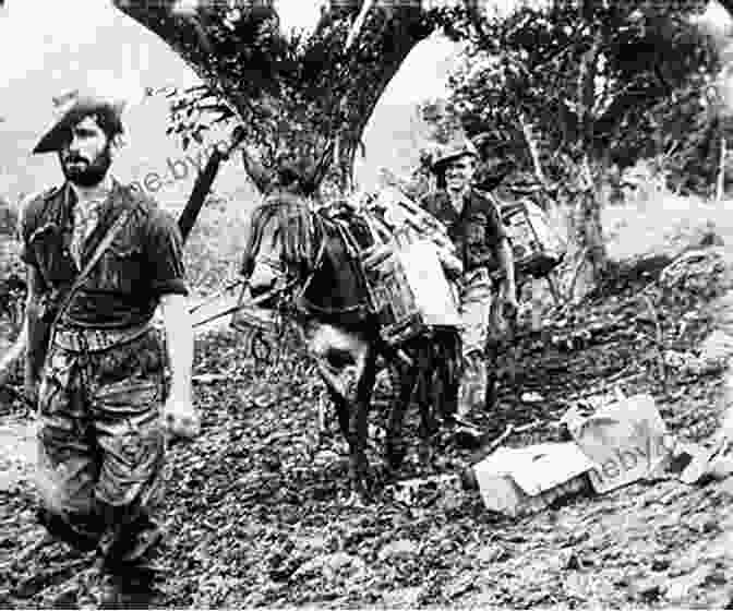 Chindits Operating In The Jungles Of Burma Battle Tales From Burma John Randle