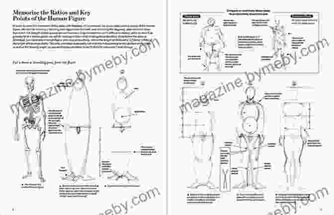 Cover Of The Book 'How To Draw Lifelike Male Figures' Sketching Men: How To Draw Lifelike Male Figures A Complete Course For Beginners (Over 600 Illustrations)