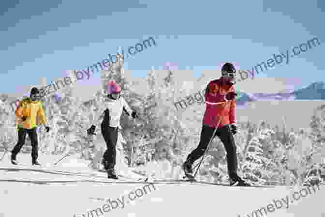 Cross Country Skiers Gliding Through A Snow Covered Forest The Classic Guide To Winter Sports