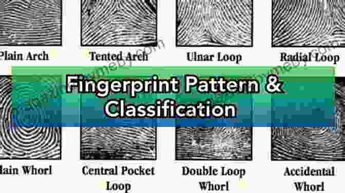 Dactyloscopy: The Art Of Fingerprint Identification Forensics: What Bugs Burns Prints DNA And More Tell Us About Crime