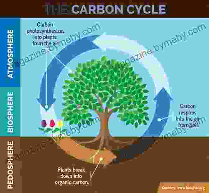 Diagram Of Carbon Dioxide Entering The Soil And Being Stored In Organic Matter The Soil Will Save Us: How Scientists Farmers And Foodies Are Healing The Soil To Save The Planet