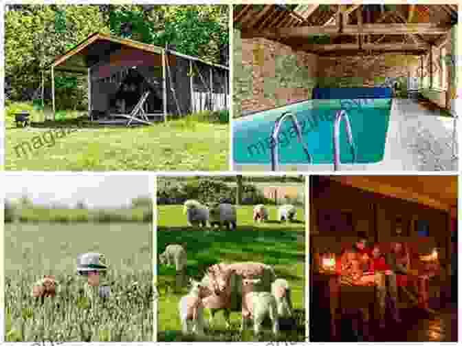 Farming Holiday In The Cotswolds The Eleven Arches And Farming Holidays