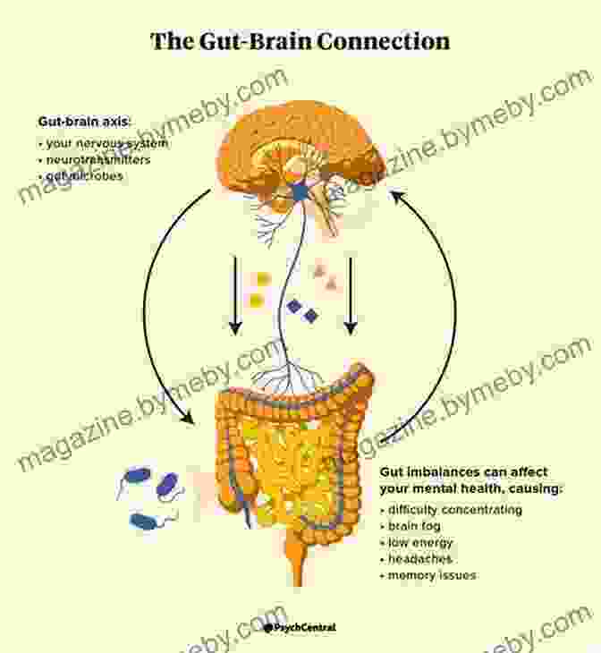 Illustration Of The Mind Gut Connection A Joosr Guide To Brain Maker By David Perlmutter: The Power Of Gut Microbes To Heal And Protect Your Brain For Life