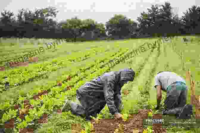 Image Of People Tending To Soil In A Field The Soil Will Save Us: How Scientists Farmers And Foodies Are Healing The Soil To Save The Planet