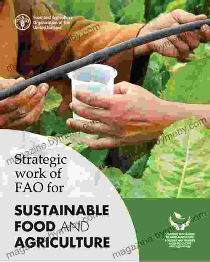 Intricate Network Of Individuals, Organizations, And Policies Involved In Food Governance Grocery: The Buying And Selling Of Food In America