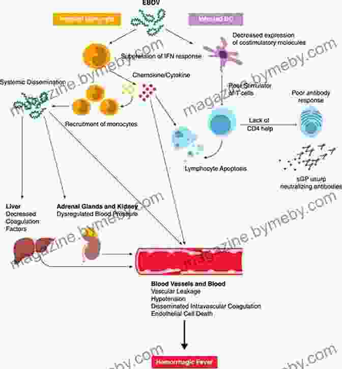 Molecular Mechanisms Of Pathogenicity DDX Med Maps: Human Pathogens