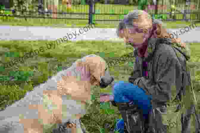 Paw Prints Book Cover Featuring A Woman And Her Golden Retriever Paw Prints Morgan J Muir