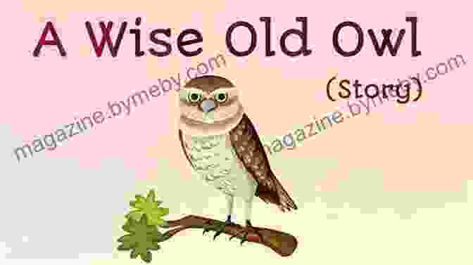 Rebecca Rupp Seeks Guidance From The Wise Old Owl Out Mouse Rebecca Rupp