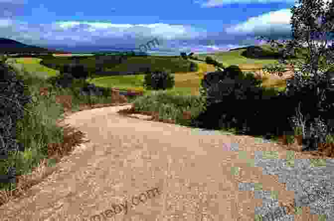 Rural Path On The Camino De Santiago Walk In A Relaxed Manner: Life Lessons From The Camino