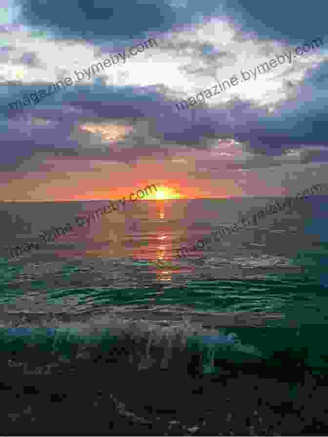 Sunset Negril Book Cover With A Stunning Sunset Over The Negril Coastline Sunset Negril A Caribbean Adventure Tale