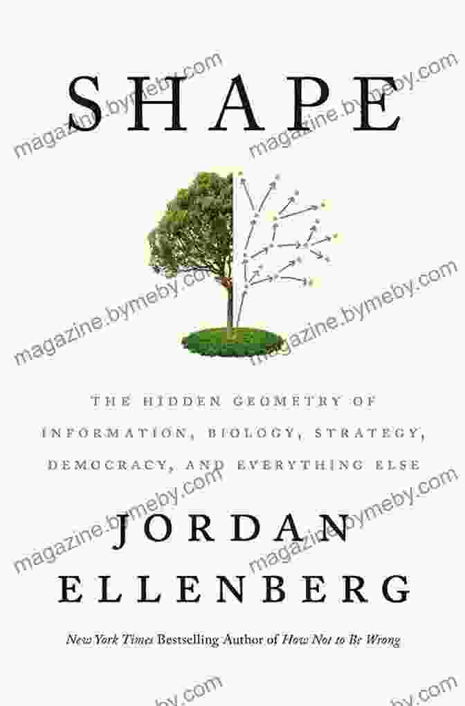 The Hidden Geometry Of Information Connects All Things, From The Smallest Biological Structures To The Grandest Democratic Systems. Shape: The Hidden Geometry Of Information Biology Strategy Democracy And Everything Else