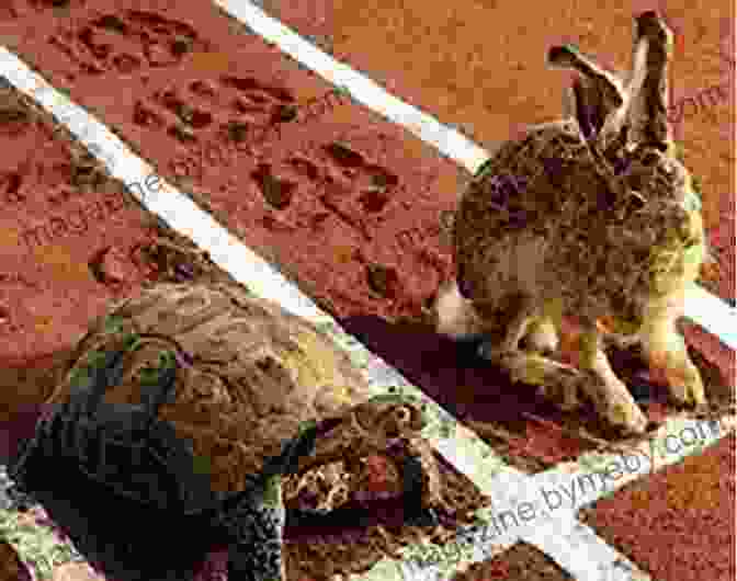 The Tortoise, With Its Consistent Pace, Ultimately Triumphs Over The Hare's Initial Advantage. The Tortoise Or The Hare