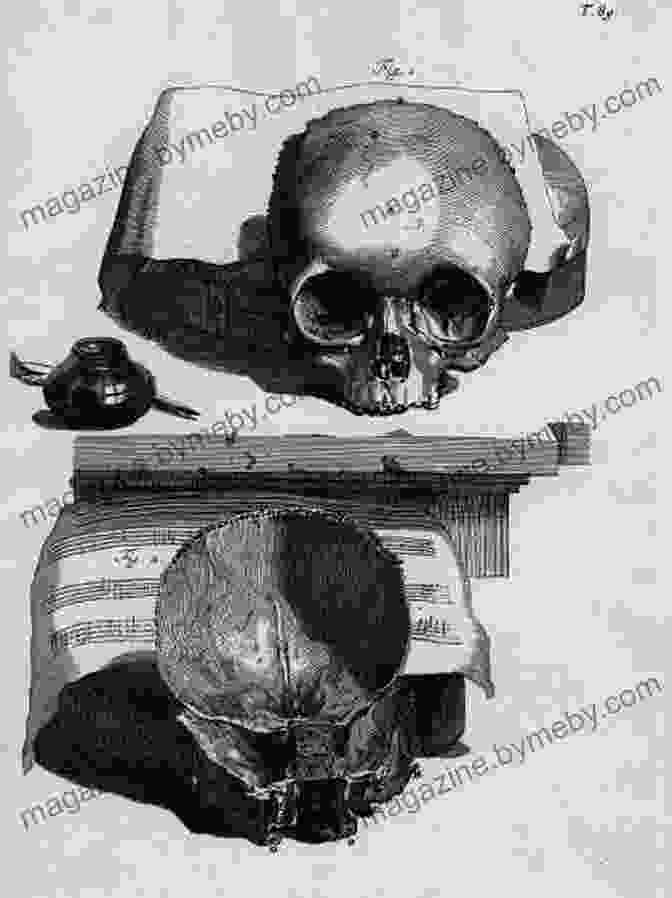 William Cowper's Skull Collection Tomb Raiders: Real Tales Of Grave Robberies (Mystery And Mayhem)