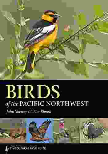 Birds of the Pacific Northwest (A Timber Press Field Guide)