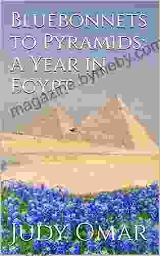 Bluebonnets to Pyramids: A Year in Egypt