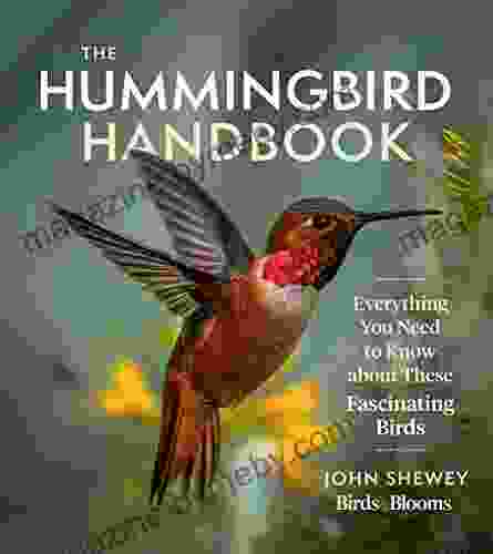 The Hummingbird Handbook: Everything You Need To Know About These Fascinating Birds