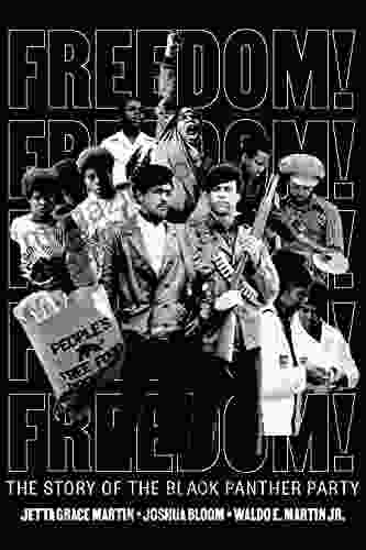 Freedom The Story Of The Black Panther Party