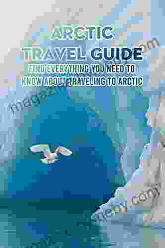 Arctic Travel Guide: Find Everything You Need To Know About Traveling To Arctic